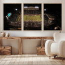 Wake Forest University Demon Deacons Canvas Printi, Football