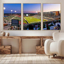 University of North Texas Mean Green Football Team Print - by MyGreatCanvas | Canvas Wall Art Prints | Photo Prints & Wall Decor