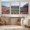 Framed Texas Memorial Stadium Canvas, University of Texas by MyGreatCanvas | Canvas Wall Art Prints | Photo Prints & Wall Decor