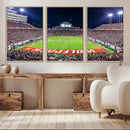 Wolfpack Football Team Print - Raleigh Carter-Finley Stadium