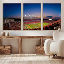 Wolfpack Football Team Wall Art Print - Raleigh