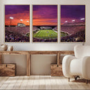 East Carolina University Pirates Football Print Canvas-
