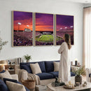 East Carolina University Pirates Football Print Canvas-