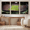 Florida Atlantic University Owls Football Team Print - Boca by MyGreatCanvas | Canvas Wall Art Prints | Photo Prints & Wall Decor