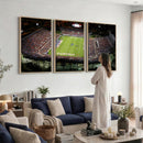 Florida Atlantic University Owls Football Team Print - Boca