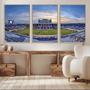 Florida Atlantic University Owls Football Team Print - Boca by MyGreatCanvas | Canvas Wall Art Prints | Photo Prints & Wall Decor