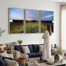 University of Michigan Wolverines Football Team Print - Ann