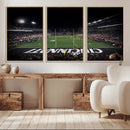 Cincinnati Bearcats Football Team Print - Nippert Stadium