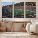 University of California Golden Bears Football Team Print - by MyGreatCanvas | Canvas Wall Art Prints | Photo Prints & Wall Decor