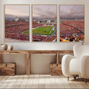 Iowa State University Cyclones Football Team Print - Ames