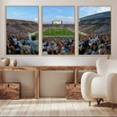 Michigan State Spartans Football Team Art Print - East