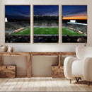 Michigan State Spartans Football Team Print - East Lansing