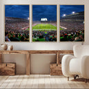 Michigan State Spartans Football Team Print - East Lansing