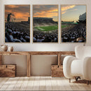 Michigan State Spartans Football Team Print - East Lansing