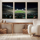 Framed Michigan State Spartans Football Team Print - East