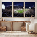Michigan State Spartans Canvas, Framed Football Team Print - by MyGreatCanvas | Canvas Wall Art Prints | Photo Prints & Wall Decor