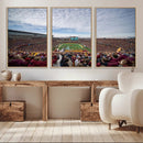 University of Minnesota Golden Gophers Football Team Print - by MyGreatCanvas | Canvas Wall Art Prints | Photo Prints & Wall Decor