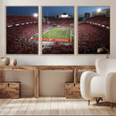 Ohio State University Buckeyes Football Team Print -
