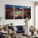 Ohio State University Buckeyes Football Team Print -