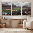 Rutgers Scarlet Knights Football Team Print - SHI Stadium,