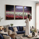 Rutgers University Scarlet Knights Football Team Print -