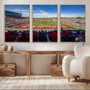 Ball State Cardinals Football Team Print - Muncie Scheumann