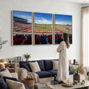 Ball State Cardinals Football Team Print - Muncie Scheumann