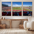 Ball State Cardinals Football Team Print - Muncie Scheumann
