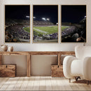 TCU Horned Frogs Football Team Print - Fort Worth Amon G.