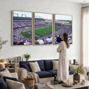 The Texas Christian University TCU Horned Frogs Football