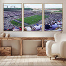 The Texas Christian University TCU Horned Frogs Football