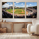 The Texas A&M University Aggies Athletics Team Print -