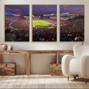 The University of Southern California USC Trojans Football by MyGreatCanvas | Canvas Wall Art Prints | Photo Prints & Wall Decor