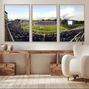 The Duke University Blue Devils Football Team Print - Durham