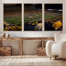 West Virginia Uni Mountaineers Football Team Print - Milan
