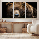 Grizzly Brown Bear Canvas Wall Art, Wildlife Animal Canvas
