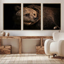 Wild Grizzly 399 Bear Canvas Wall Art Print, Bear Animal by MyGreatCanvas | Canvas Wall Art Prints | Photo Prints & Wall Decor