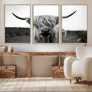 Highland Cow Wall Art | Black and White Farmhouse Decor |