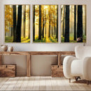 Sunlit Forest Wall Art Canvas Print – Large Framed Woodland