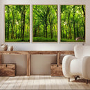Lush Green Forest Canvas Print | 3-Panel Forest Wall Art |