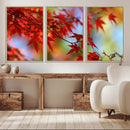 Red Leaves Autumn Forest Wall Art Canvas, Red Leaves Autumn by MyGreatCanvas | Canvas Wall Art Prints | Photo Prints & Wall Decor
