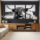 Black and White Scottish Cow Canvas Wall Art Highland Cattle