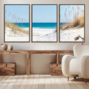 Serene Coastal Dune Path with Ocean View, 3-Panel Beach