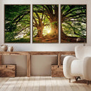 Majestic Ancient Tree Wall Art, NatureCanvas Print, Woodland by MyGreatCanvas | Canvas Wall Art Prints | Photo Prints & Wall Decor