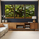 Angel Oak Tree Wall Art Canvas Print | Forest Tree Nature