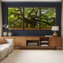 Angel Oak Tree Wall Art Canvas Print | Forest Tree Nature