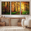 Sunlight Through Trees Wall Art Canvas Print - Autumn Forest
