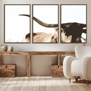 Texas Longhorn Wall Art Canvas Print | 3-Panel Large
