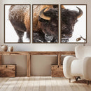 Bison Wall Art Canvas Print For Farmhouse, Wild Animal Wall by MyGreatCanvas | Canvas Wall Art Prints | Photo Prints & Wall Decor