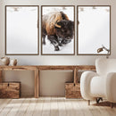 Bison Winter Wall Art Canvas Print For Farmhouse Decor